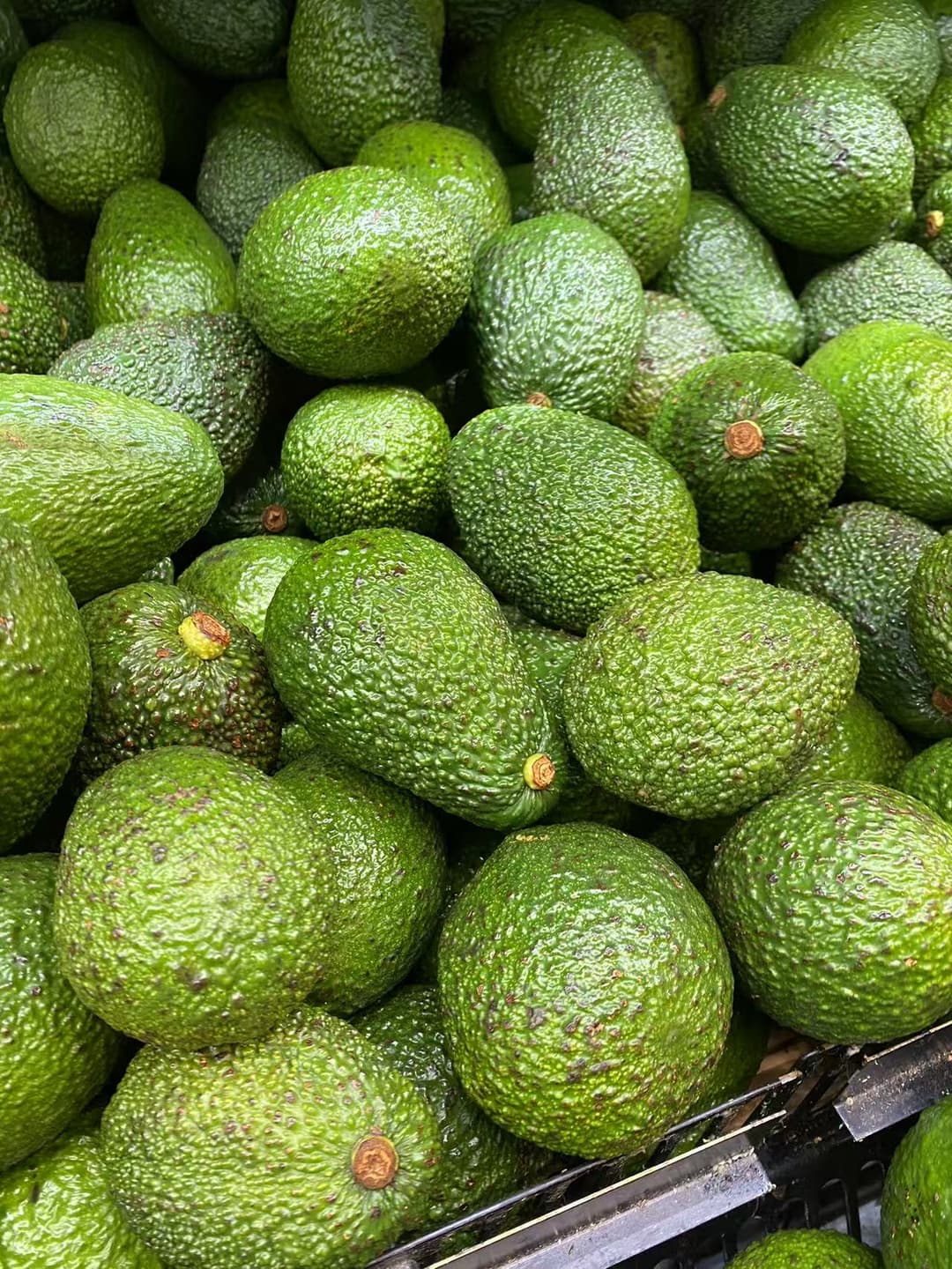 Avocado