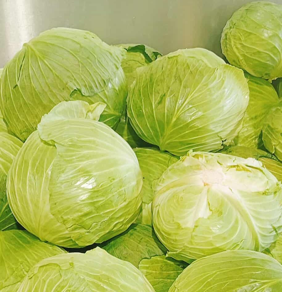 Cabbage