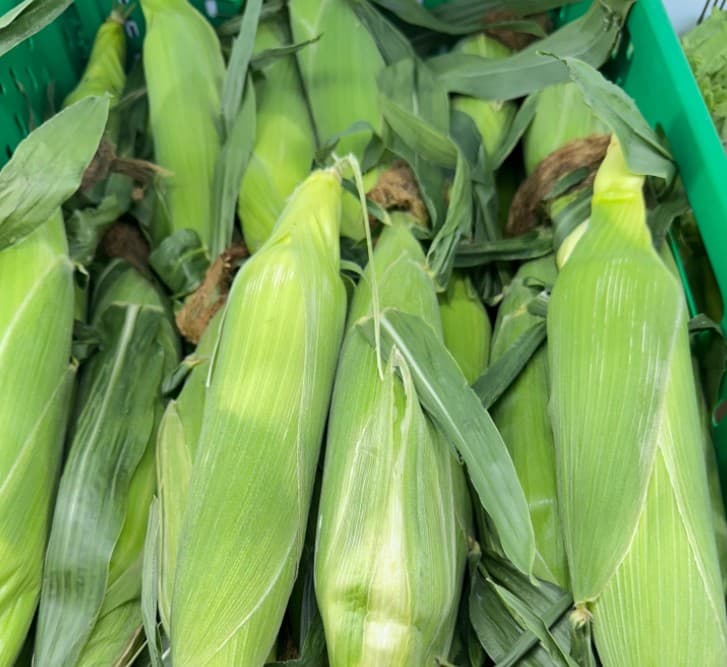 Sweetcorn